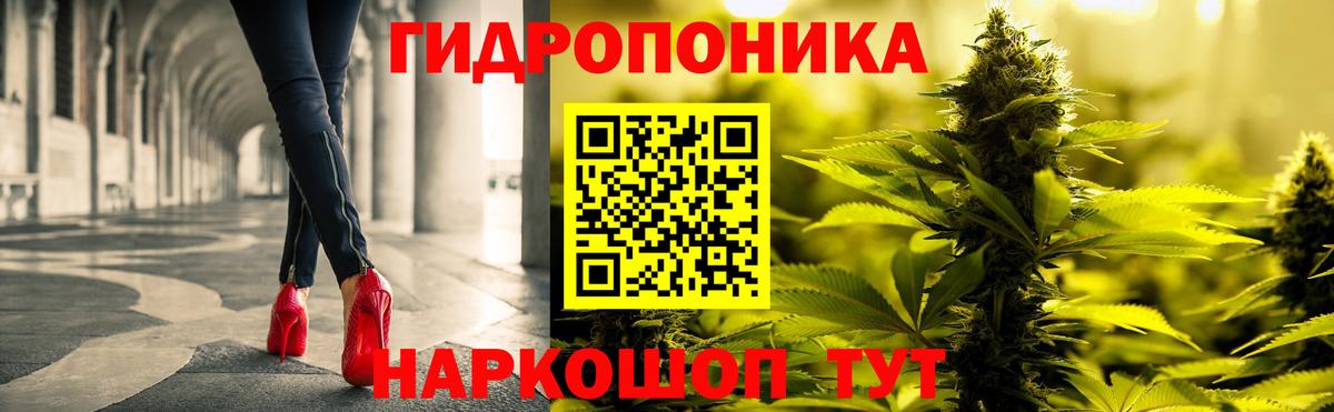 Канабис индика Кингисепп